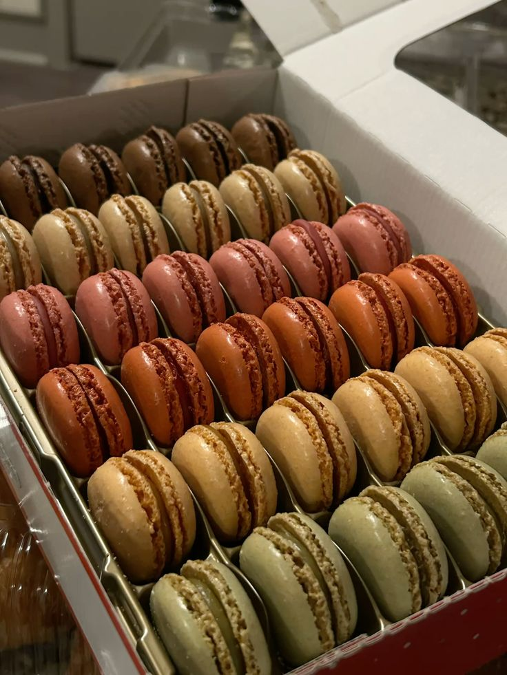bánh macaron